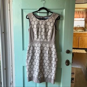 Antonio Melani Gray Lace Dress - 6